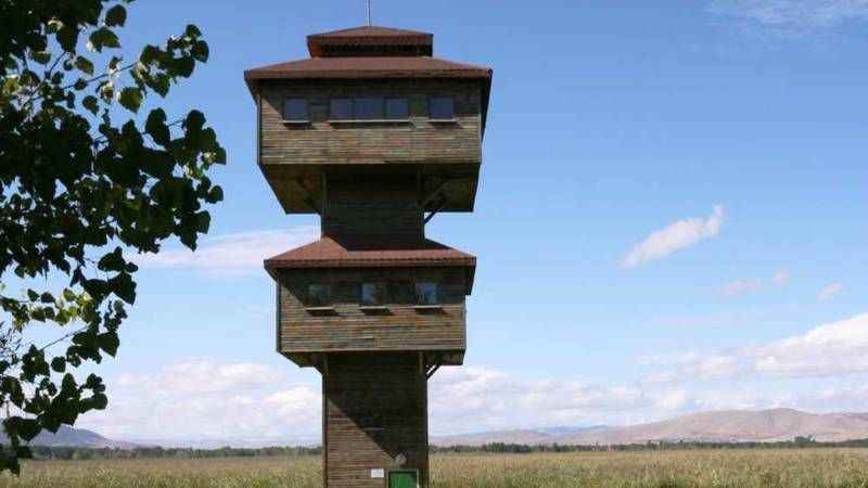 Burası Afrika değil: Tokat! Kaz Gölü doğasıyla nefes kesiyor…