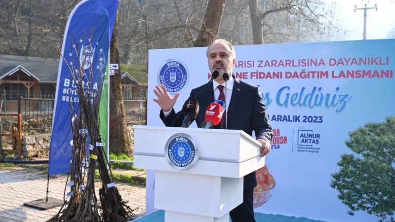 Bursa'da çiftçilere kestane fidanı desteği Bursa'da çiftçilere kestane fidanı desteği