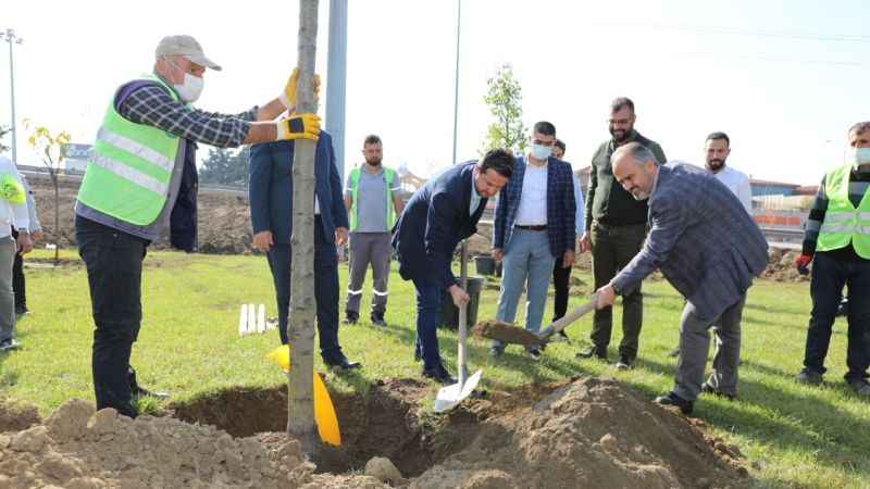 Bursa, yeni yeşil alanlarla nefes alıyor Bursa, yeni yeşil alanlarla nefes alıyor