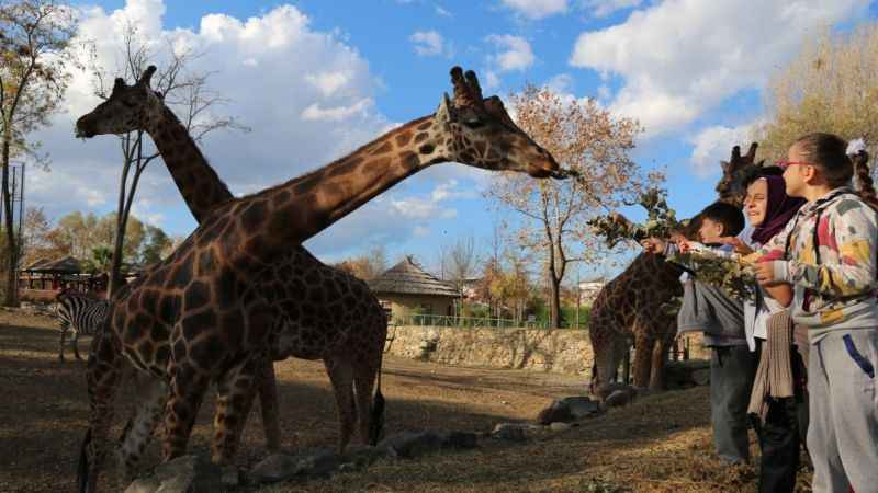 Bursa'da karne hediyesi: Ücretsiz Hayvanat Bahçesi gezisi!