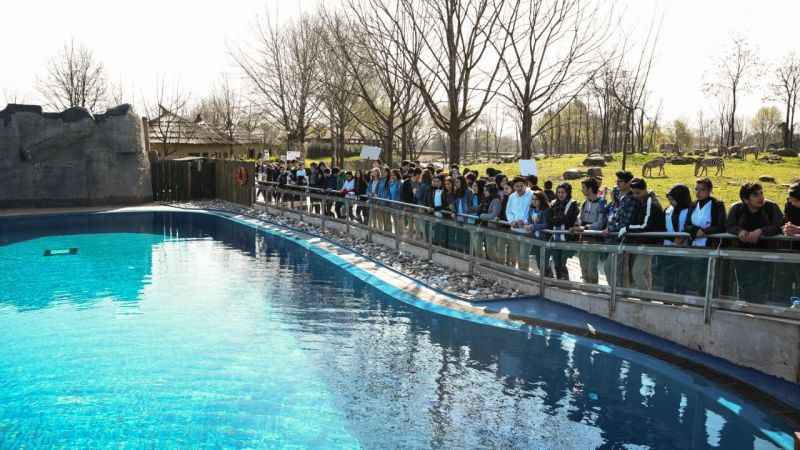 Bursa'da karne hediyesi: Ücretsiz Hayvanat Bahçesi gezisi!