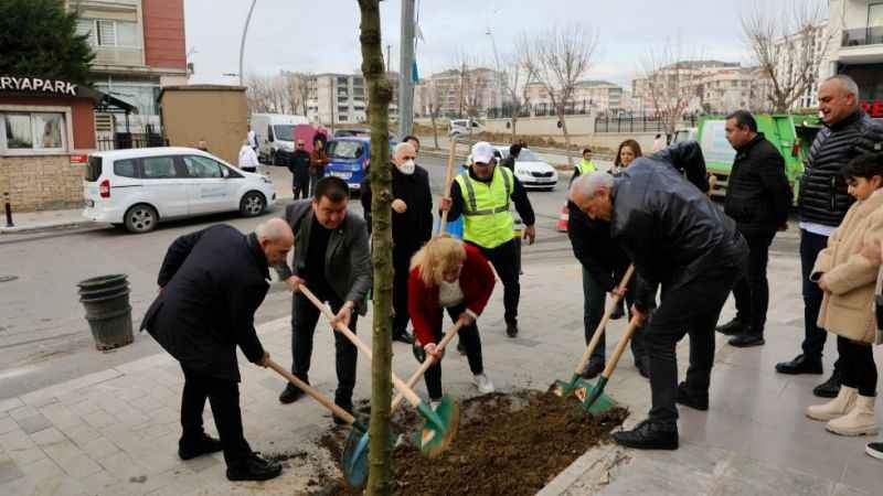 Büyükçekmece'de yeni yıl ağaç dikimiyle karşılandı