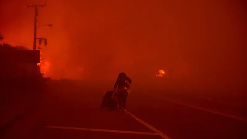 California’da etkili olan yangın 4 dönüm araziyi kül etti California’da etkili olan yangın 4 dönüm araziyi kül etti