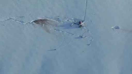 Afganistan'da aranan iki kişinin cansız bedeni bulundu