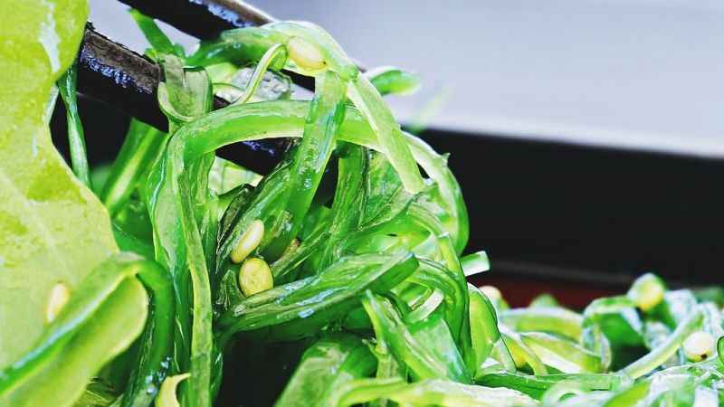 Nükleer kış sonrası insanlığın besini deniz yosunu olacak