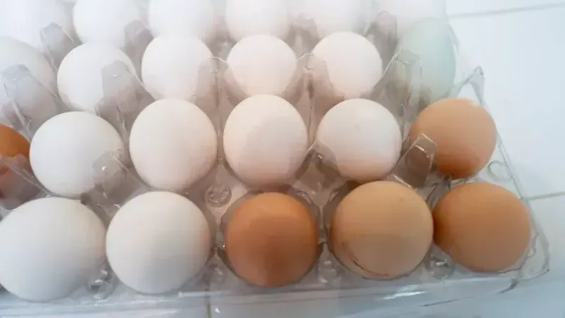 ABD’nin birçok eyaletinde yumurtalar geri çağrıldı!