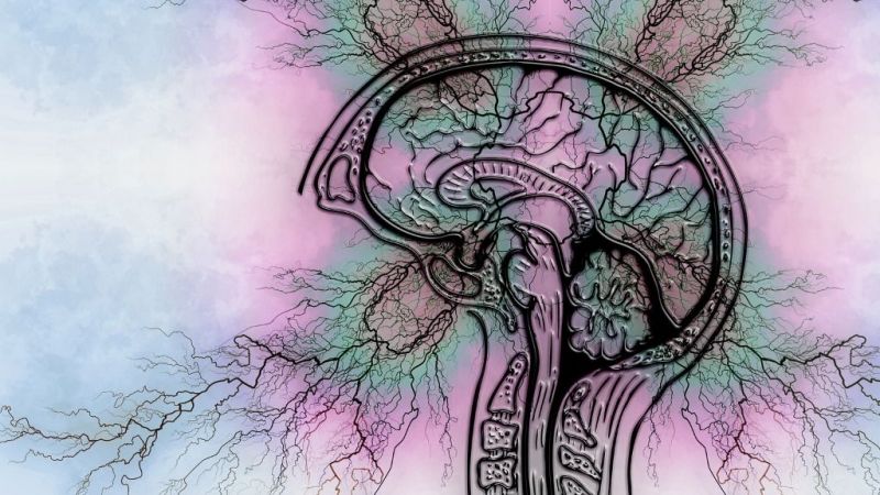 Epilepsi nöbetlerinde neler yapılmalı?