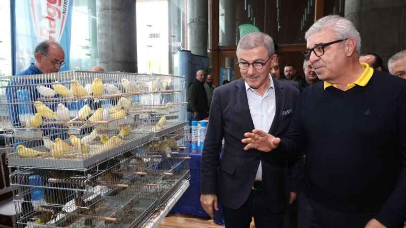 Eyüpsultan’da renkli kanarya festivali