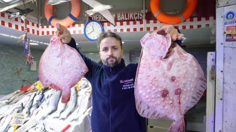 Fiyatı altınla yarışan balık! 3 kilosuna gram altın geliyor