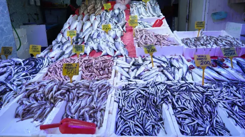 Fiyatı altınla yarışan balık! 3 kilosuna gram altın geliyor