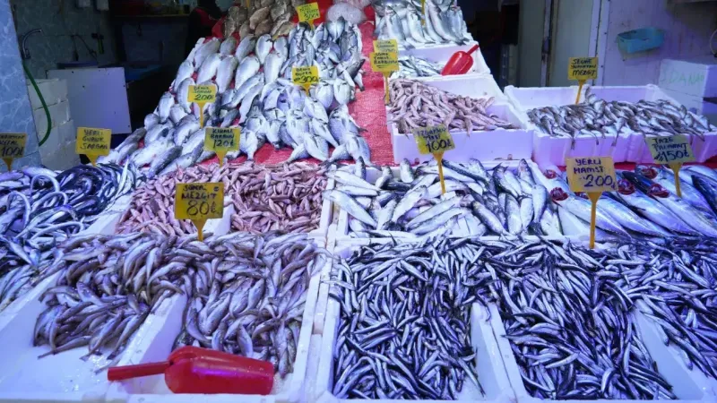 Fiyatı altınla yarışan balık! 3 kilosuna gram altın geliyor