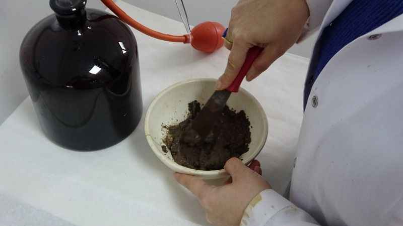 Gemlik'te zeytin üreticilerine toprak analizi hizmeti