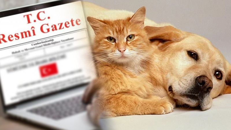 Hayvan Koruma Kanunu’nda değişiklik yapıldı! Kaybedenler yandı