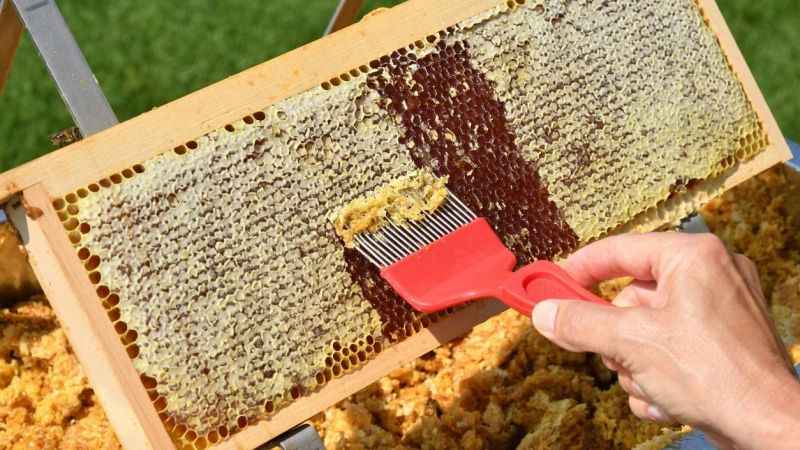 Sivilce ve aknelere arı zehri ve propolis Sivilce ve aknelere arı zehri ve propolis