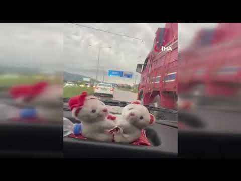 Amasya'da sağanak sokakları göle çevirdi, evleri su bastı Amasya'da sağanak sokakları göle çevirdi, evleri su bastı