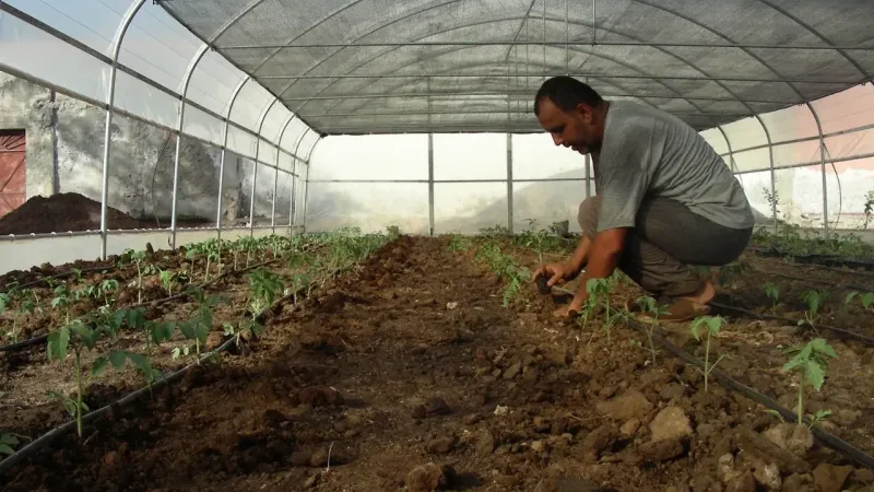 İHH öşür çalışmaları ile on binlerce ihtiyaç sahibine ulaştı