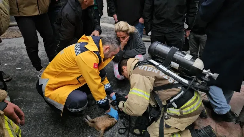 İtfaiye minik kalbine masaj yaptı! Yangından etkilenen kediyi kalp masajı kurtardı 