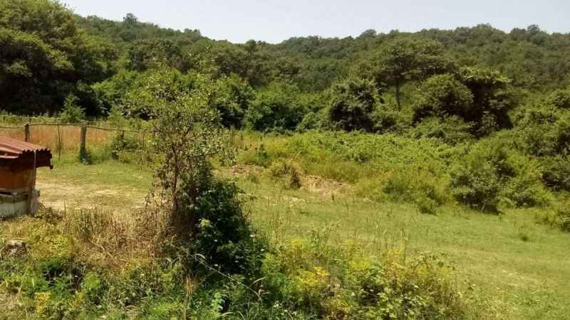 Örnek No:55* T.C.ŞİLEİCRA DAİRESİ 2023/64 TLMT. TAŞINMAZIN GAZETE VEYA İNTERNET HABER SİTESİ İLANI Örnek No:55* T.C.ŞİLEİCRA DAİRESİ 2023/64 TLMT. TAŞINMAZIN GAZETE VEYA İNTERNET HABER SİTESİ İLANI