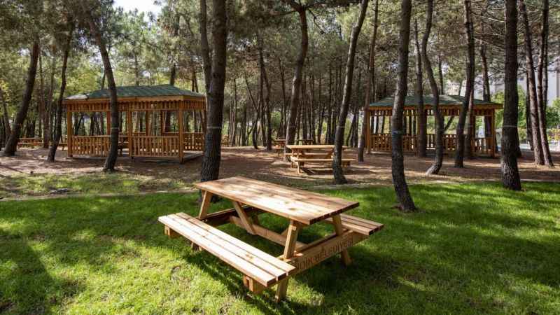 Pendik'te doğa ve eğlencenin buluşma noktası: Pendik Korusu Pendik'te doğa ve eğlencenin buluşma noktası: Pendik Korusu