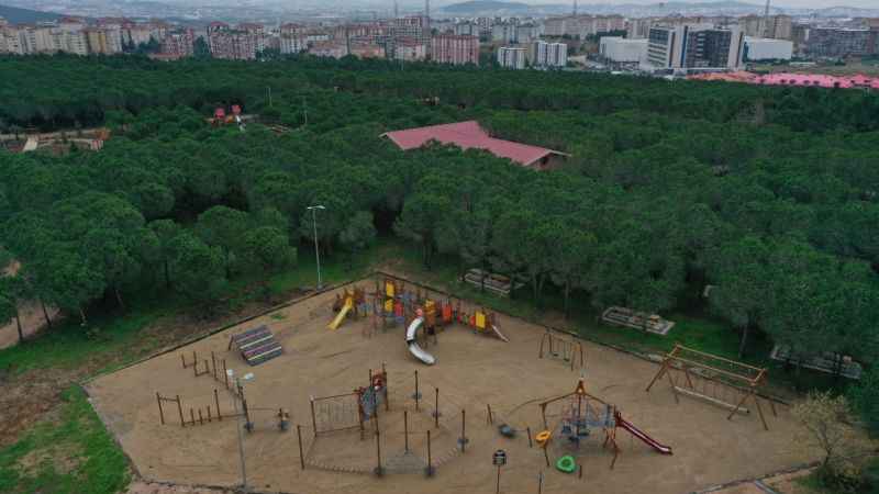 Pendik'te doğa ve eğlencenin buluşma noktası: Pendik Korusu Pendik'te doğa ve eğlencenin buluşma noktası: Pendik Korusu