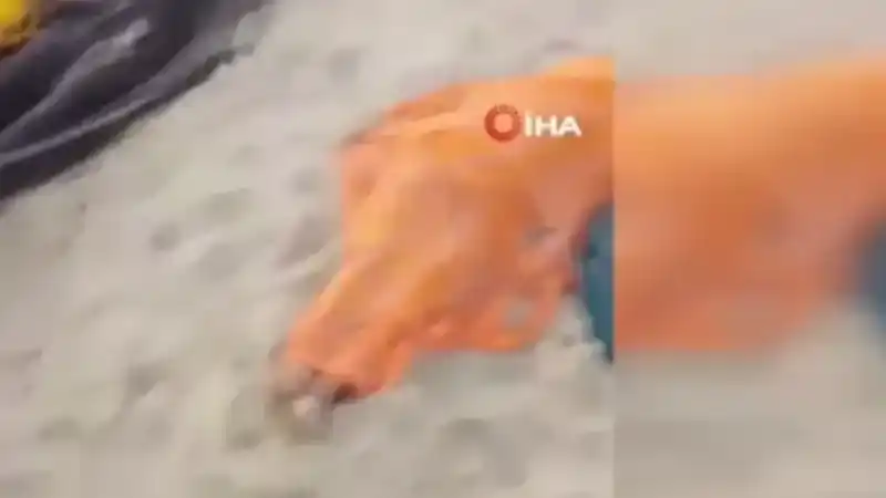 Mozambik’te tekne alabora oldu: 94 ölü