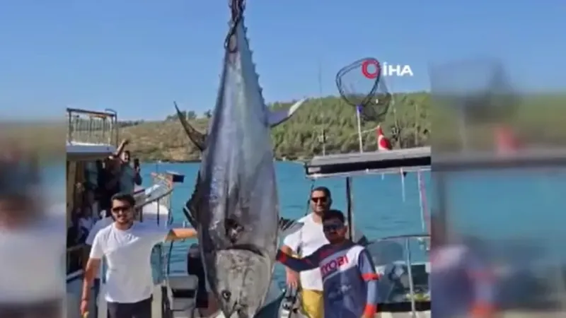 Bodrumlu balıkçılar 316 kiloluk dev orkinos yakaladı