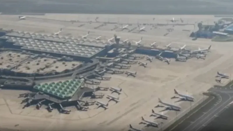 İstanbul hava sahasında ‘Leylek’ alarmı, kule ile pilotun konuşmasına yansıdı