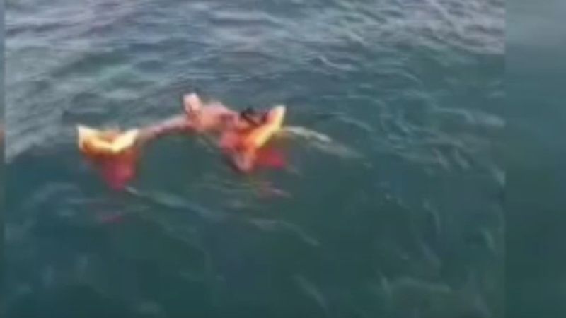 Van Gölü’nde kaybolan üçüncü şahıs sağ olarak böyle kurtarıldı