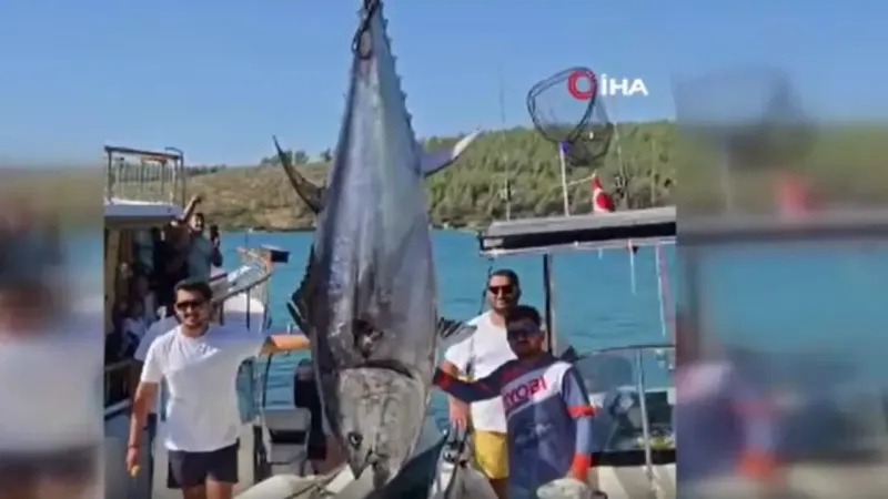 Bodrumlu balıkçılar 316 kiloluk dev orkinos yakaladı