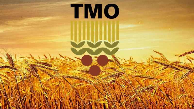 TMO hububat satış fiyatları belirlendi