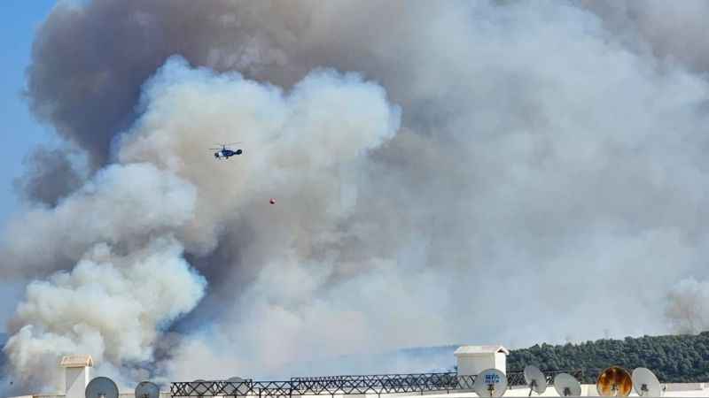Milas’ta orman yangını Milas’ta orman yangını