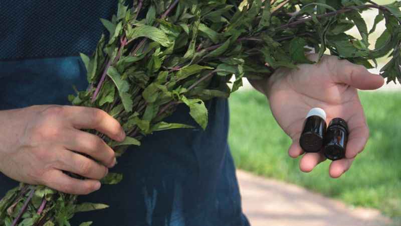 Bu yağın litresi 35 bin TL Bu yağın litresi 35 bin TL