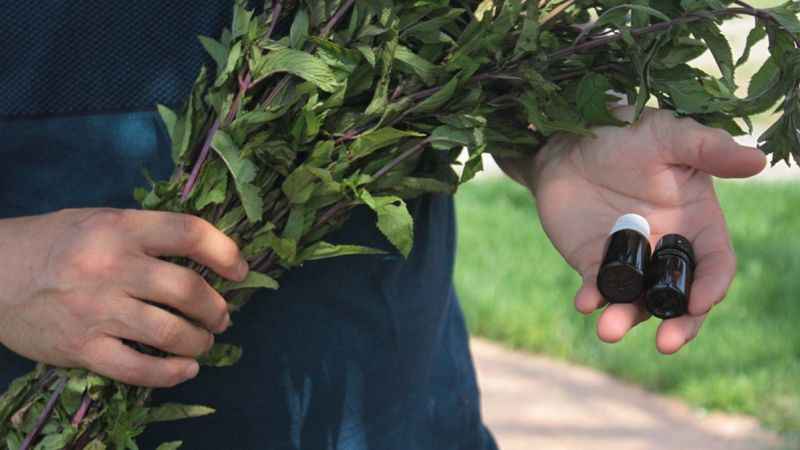 Bu yağın litresi 35 bin TL Bu yağın litresi 35 bin TL