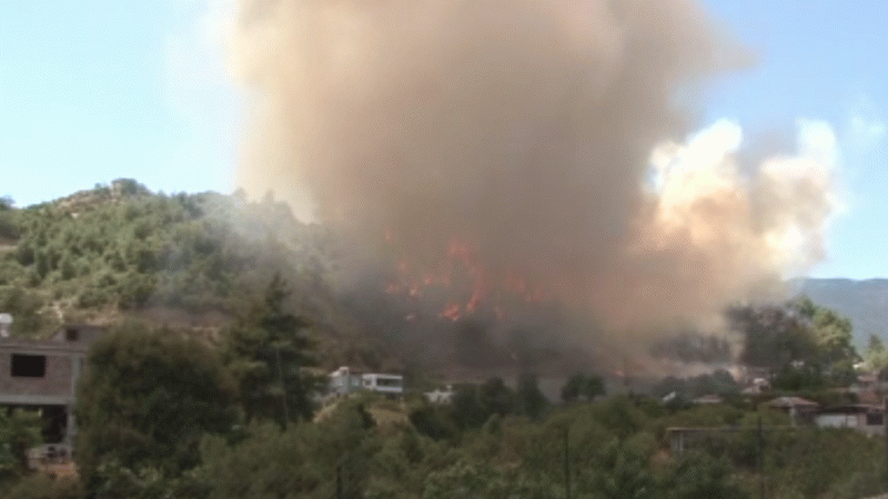 Hatay’da orman yangını