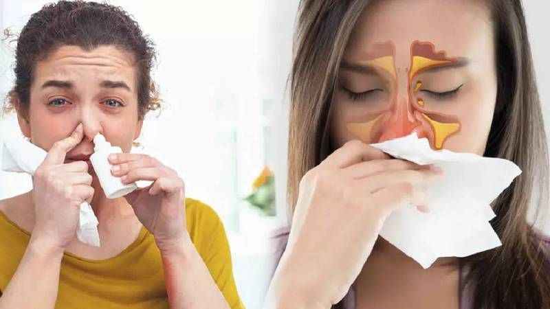 YEŞİL DENİZ MİLENYUM İZLE. Yeşil Deniz Milenyum 2 sezon full izle (tabii) YEŞİL DENİZ MİLENYUM İZLE. Yeşil Deniz Milenyum 2 sezon full izle (tabii)