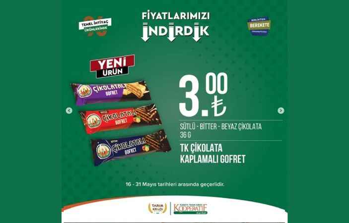 İçerisinde 110 bin dolar bulunan kasayı yuvarlayarak kaçırdılar