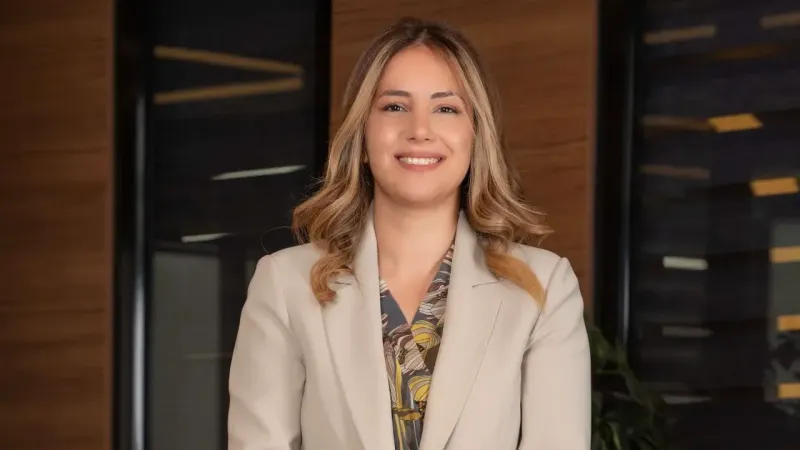 İğneada Country Taş Evler satışa çıktı