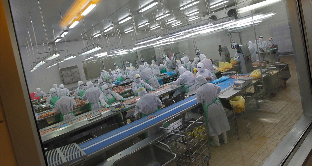 Kabus hortladı! 460 bin tavuk itlaf edilecek