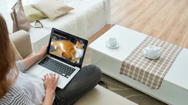 Kasım 2025 hangi sitede ne indirimler var online alışveriş indirimleri