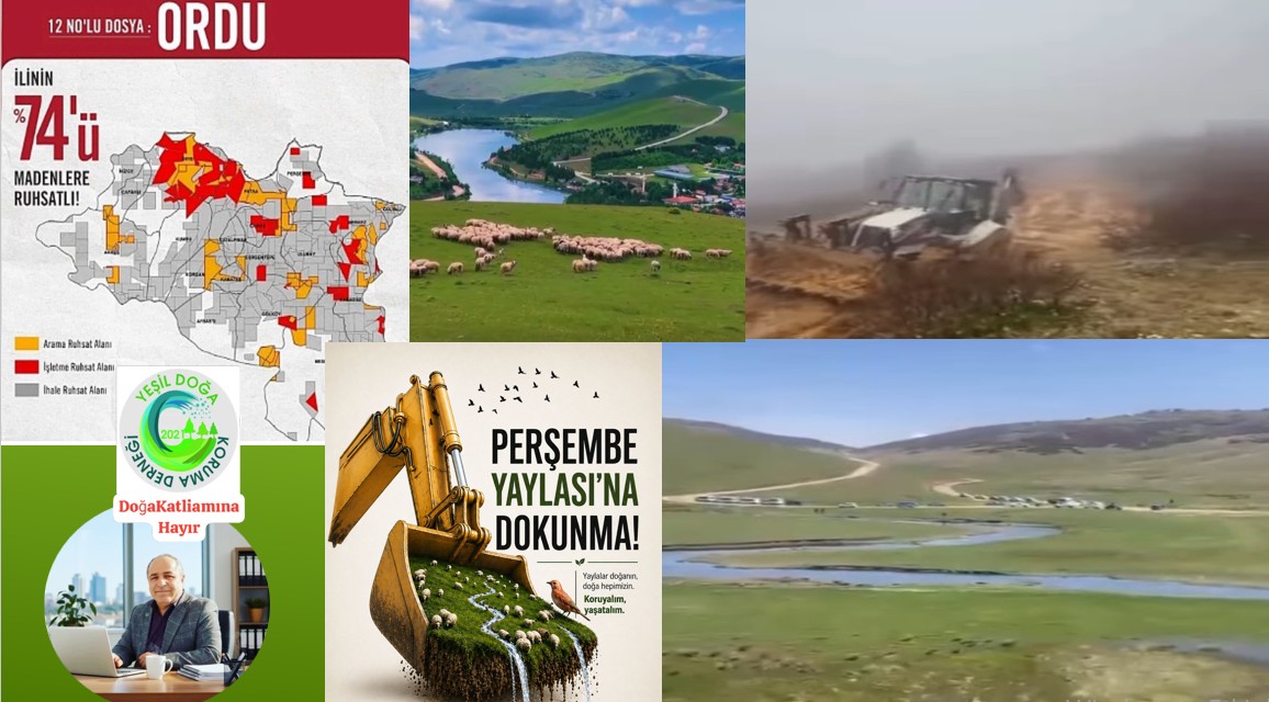 ORDU’NUN KALBİNE SONDAJ HANÇERİ: PERŞEMBE YAYLASI’NDA DİRENİŞ BAŞLADI!