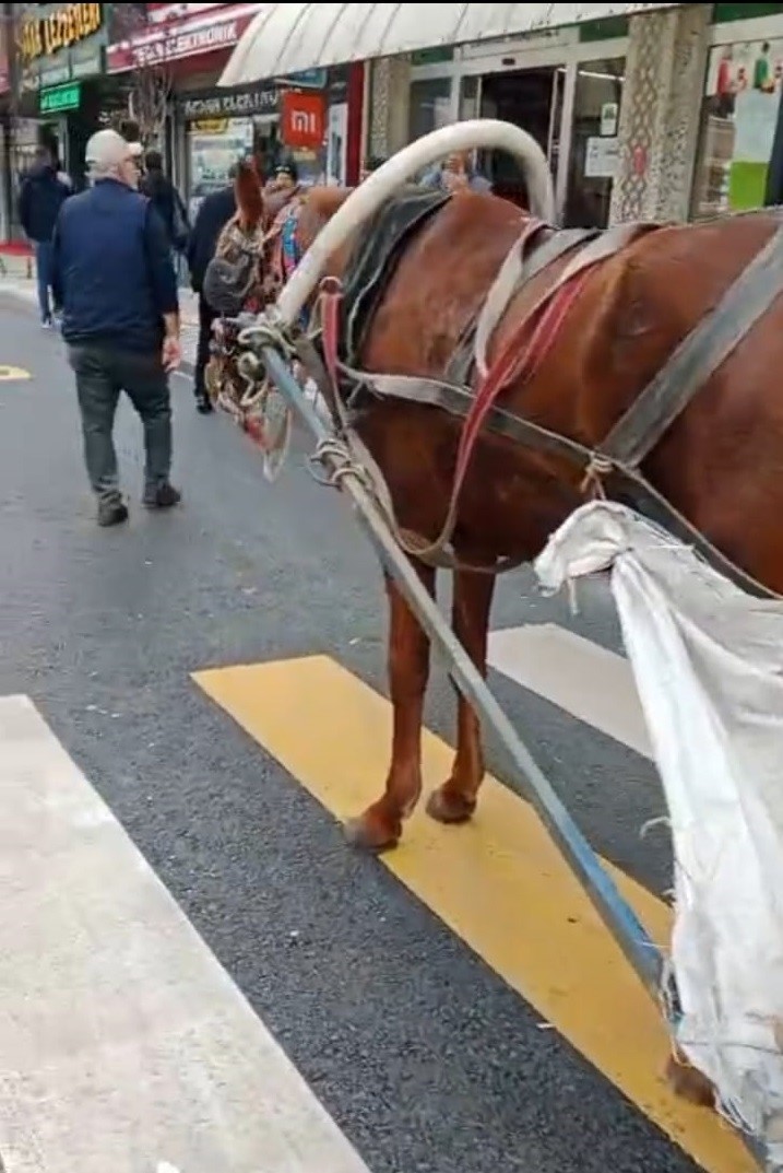 At arabasına 993 lira hatalı park cezası