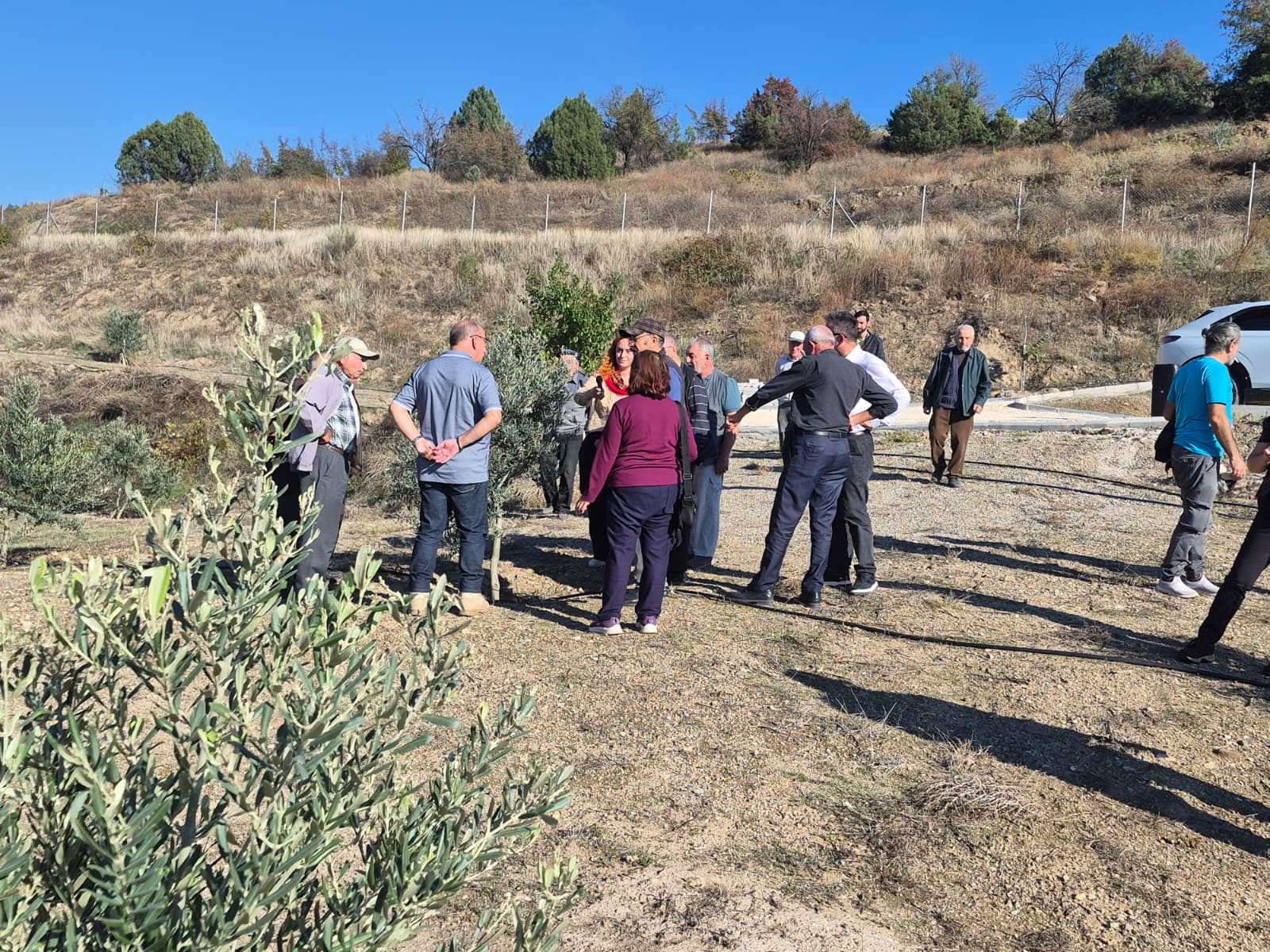 Eskişehir'de zeytin üreticilerine uygulamalı eğitim