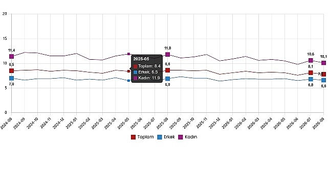 İşgücü İstatistikleri, Ağustos 2026