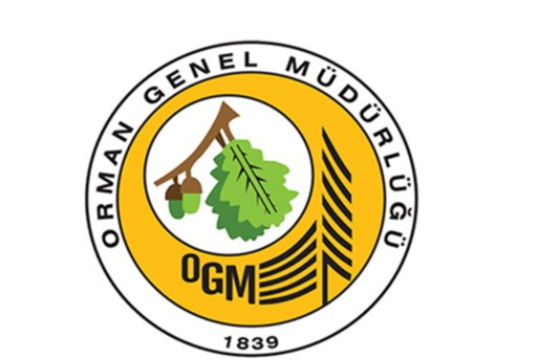 İspanya ve Fransa'daki görevlerini tamamlayan yangın söndürme uçakları döndü İspanya ve Fransa'daki görevlerini tamamlayan yangın söndürme uçakları döndü