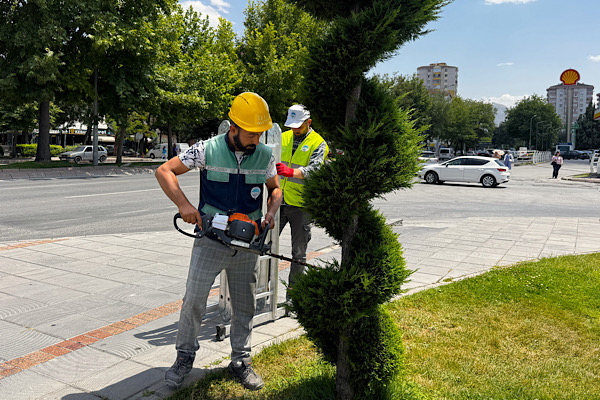 Kayseri’de yeşil alanlarda bakım ve budama çalışmaları sürüyor Kayseri’de yeşil alanlarda bakım ve budama çalışmaları sürüyor
