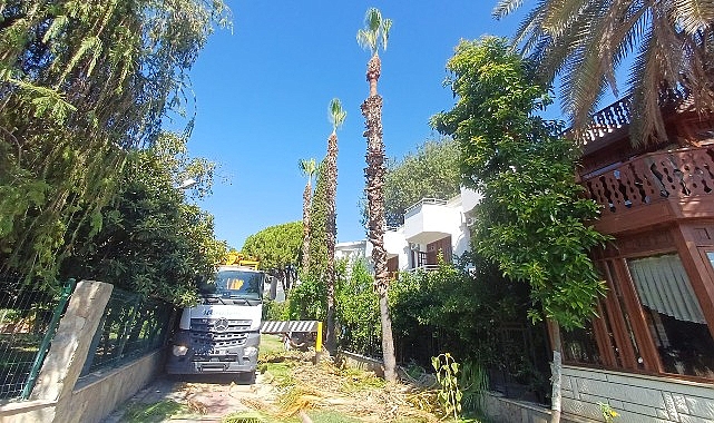 Kemer'de yeşil alanlarda bakım çalışmaları Kemer'de yeşil alanlarda bakım çalışmaları