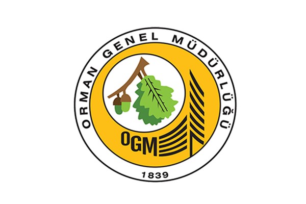 OGM: Muğla Menteşe'deki yangın büyük ölçüde kontrol altında OGM: Muğla Menteşe'deki yangın büyük ölçüde kontrol altında