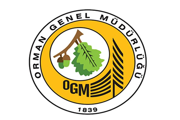 OGM, Seydikemer’deki yangına havadan ve karadan müdahale ediyor OGM, Seydikemer’deki yangına havadan ve karadan müdahale ediyor