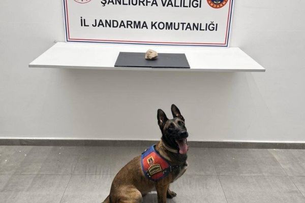Şanlıurfa’da uyuşturucu operasyonu: 1 tutuklama