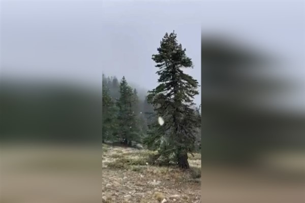 Uludağ’da kısa süreli kar yağışı görüldü